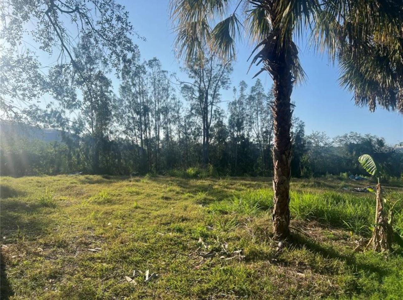 4820 TREASURE DR photo 3
