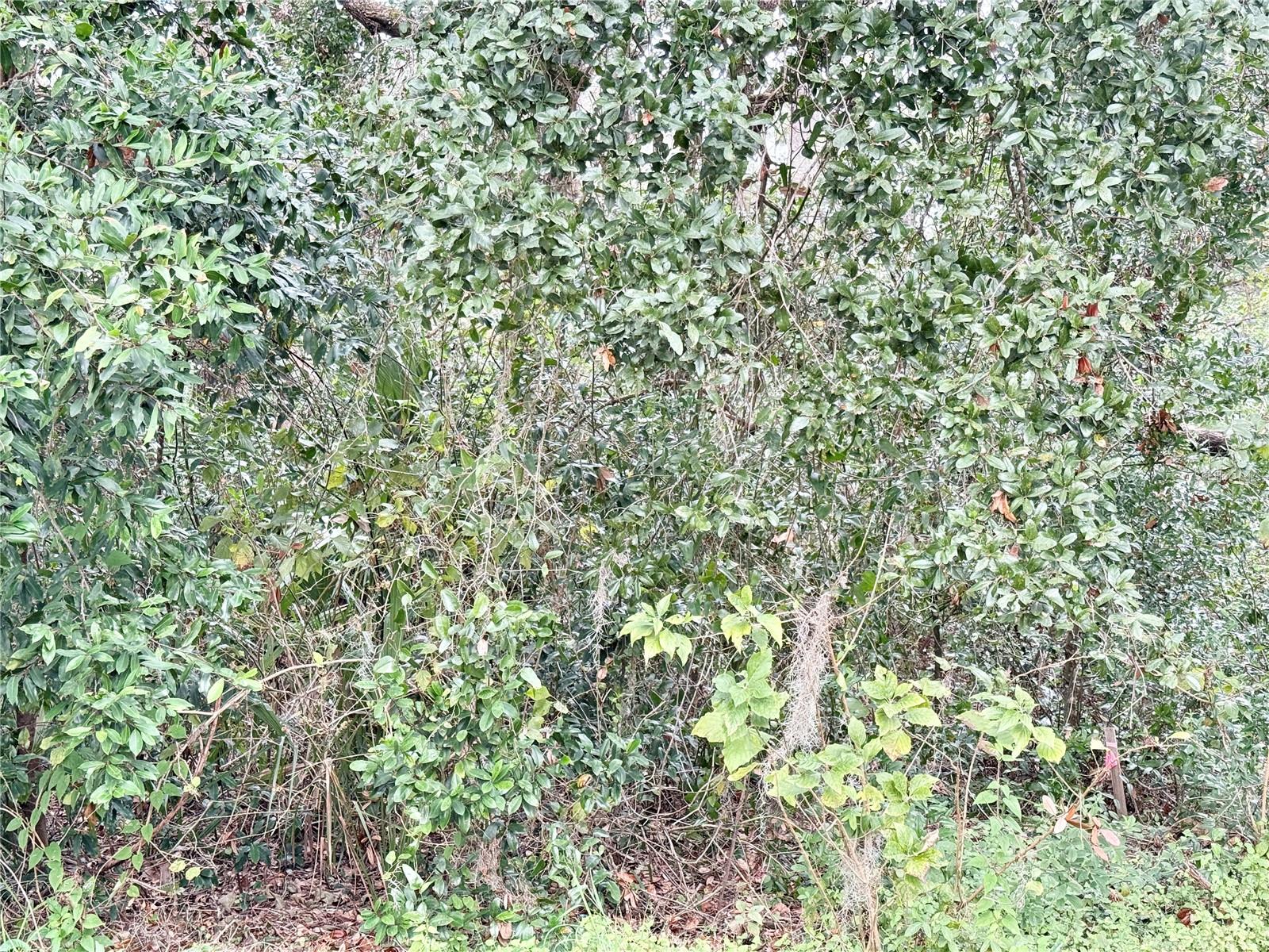0 HILDA RD photo 3