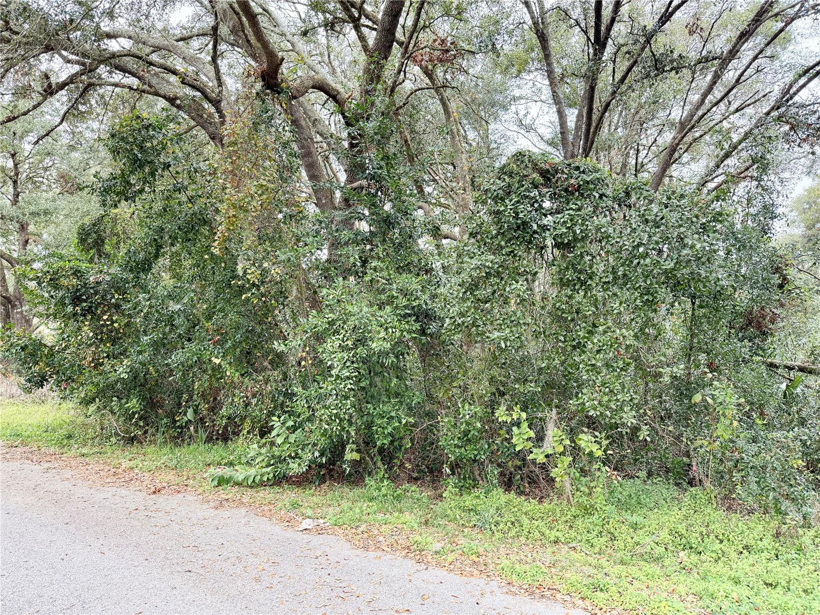 0 HILDA RD photo 5
