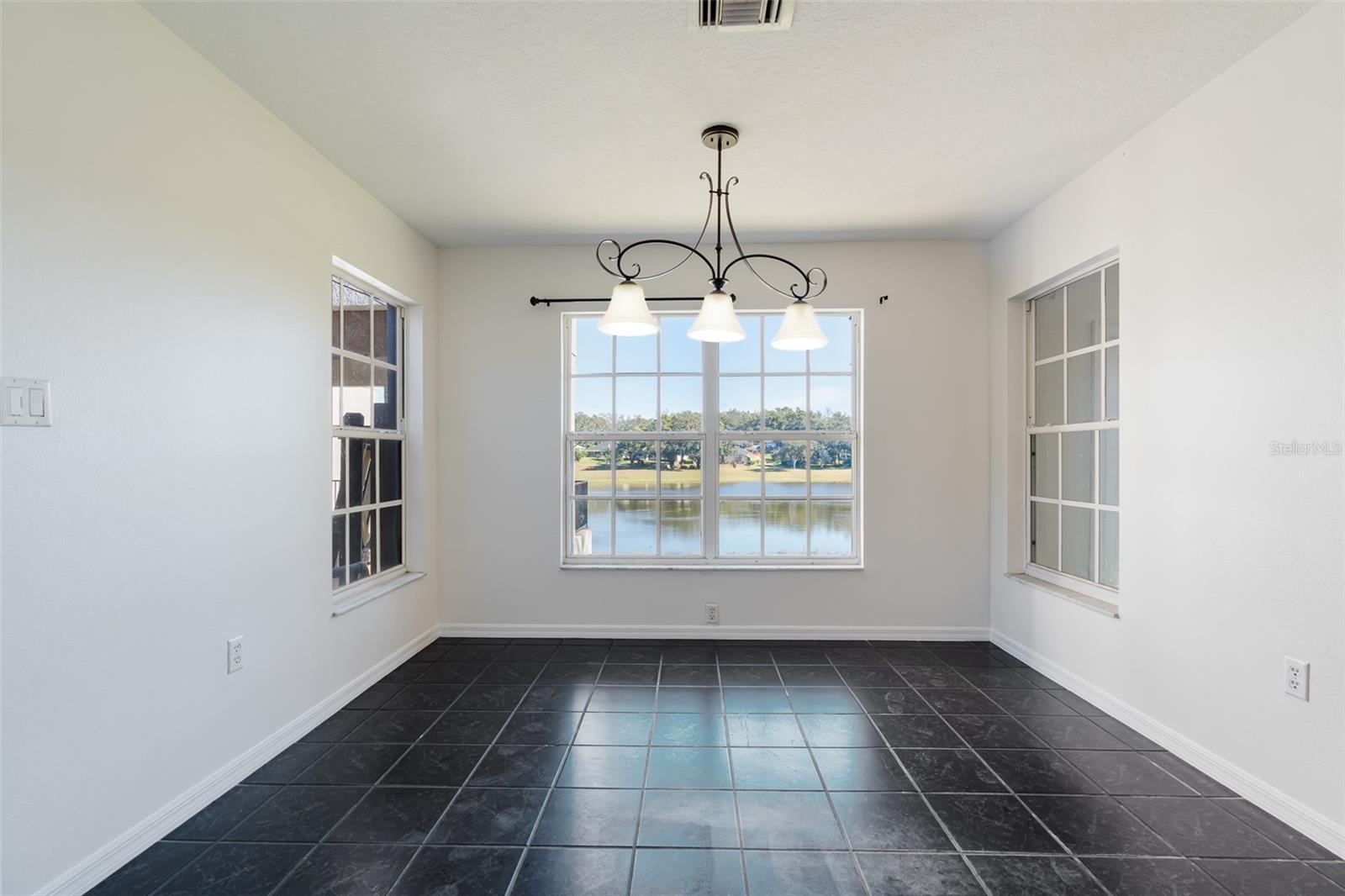 10108 LAKESHORE DR photo 3
