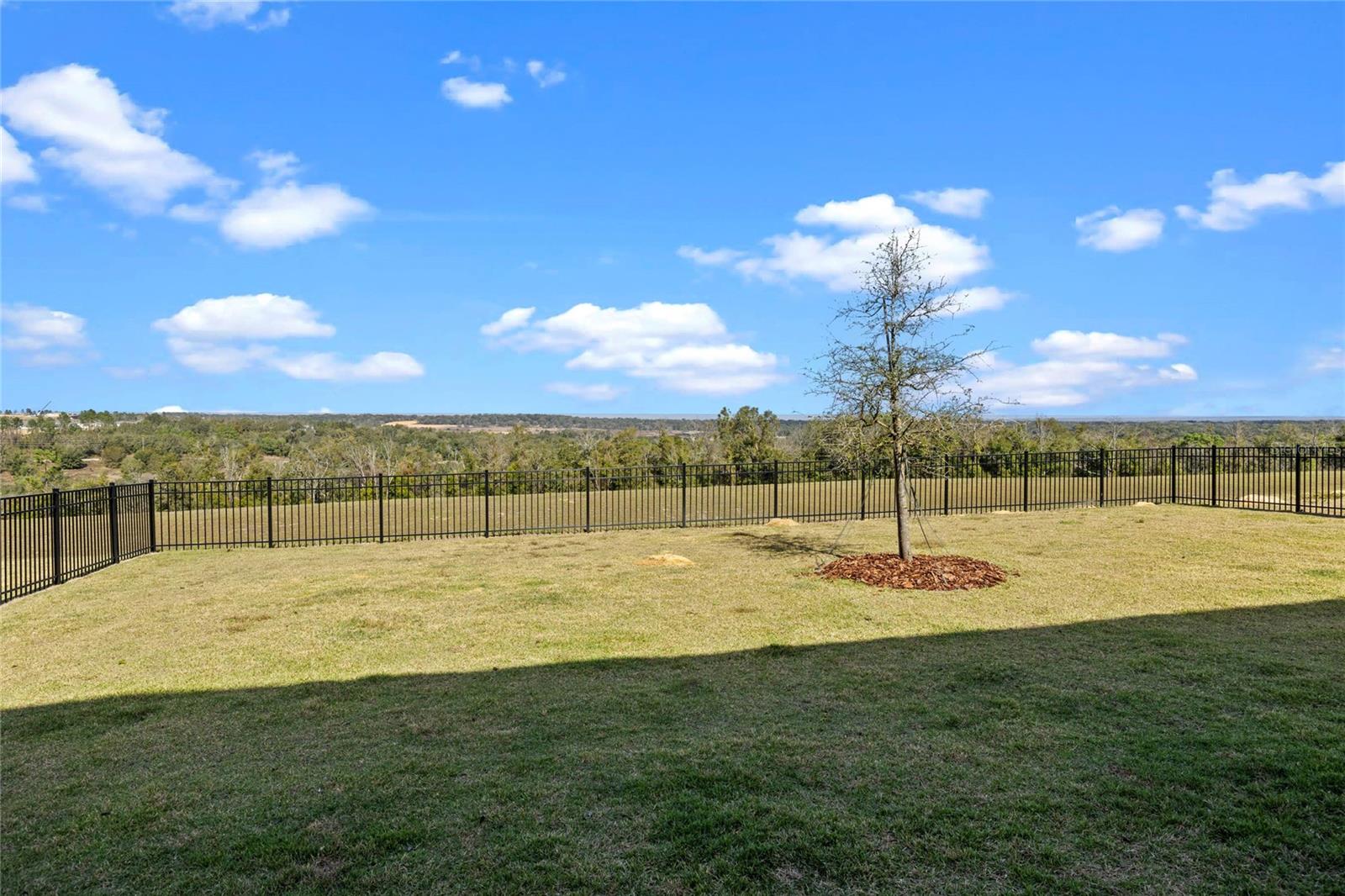 2330 GOLD DUST DR photo 4