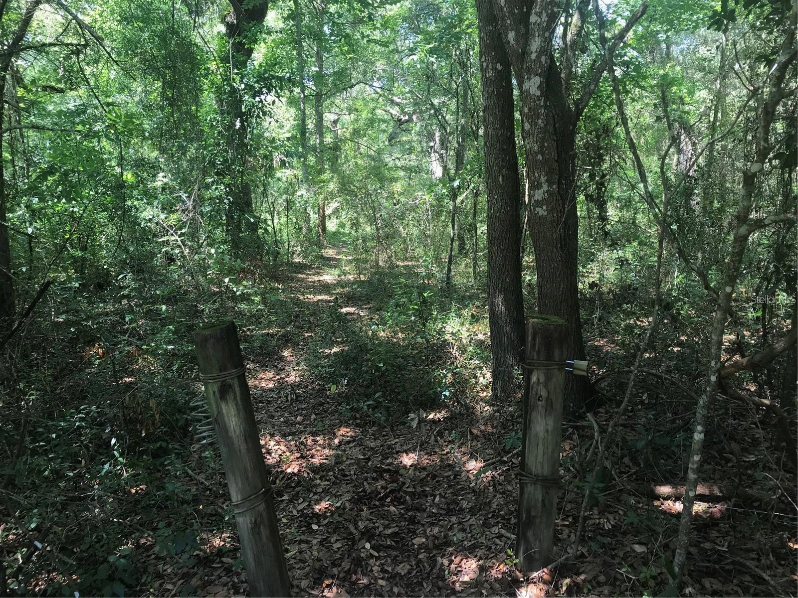 0 PARK DR photo 5