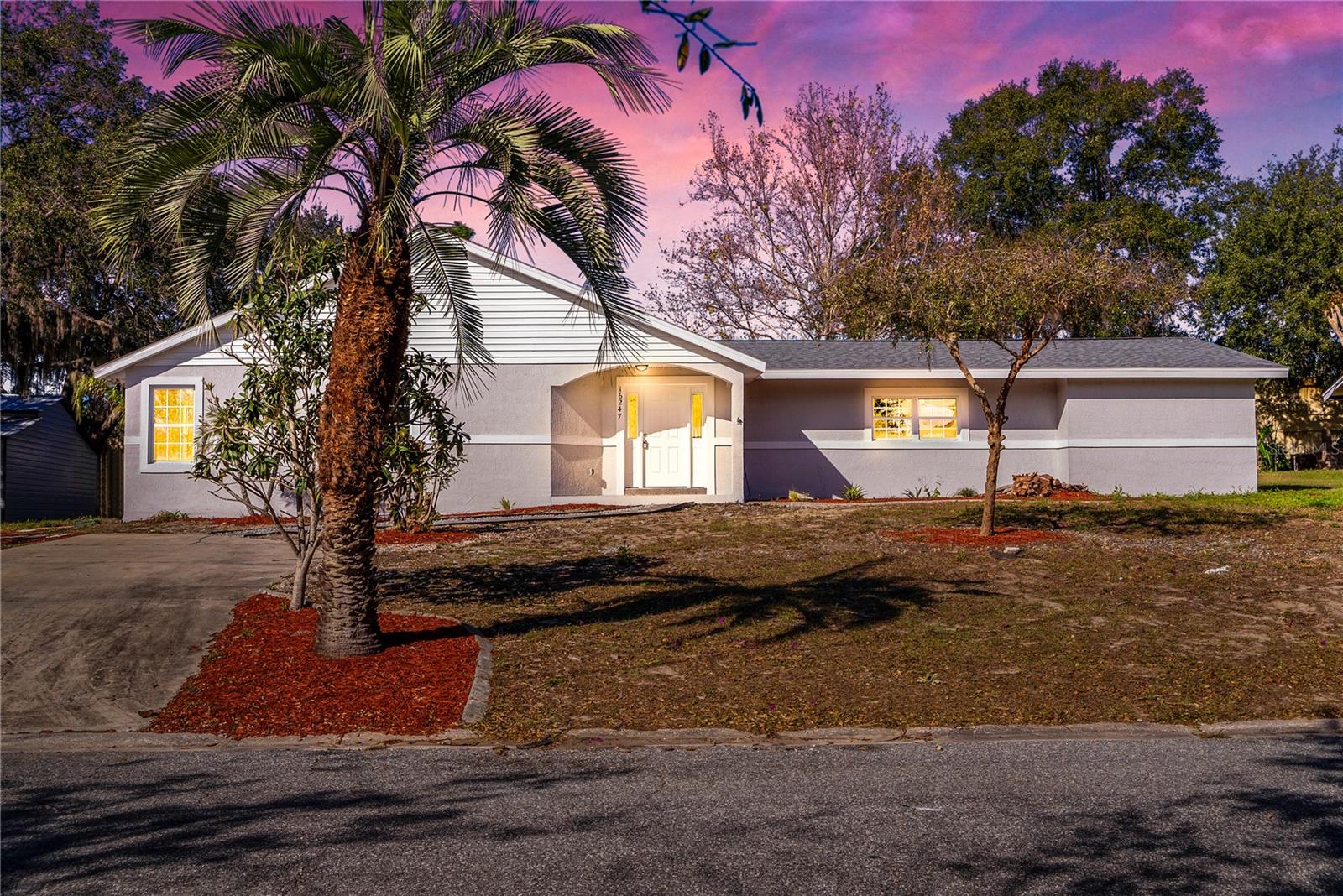 16247 LAKE JOHNS CIR — home for sale