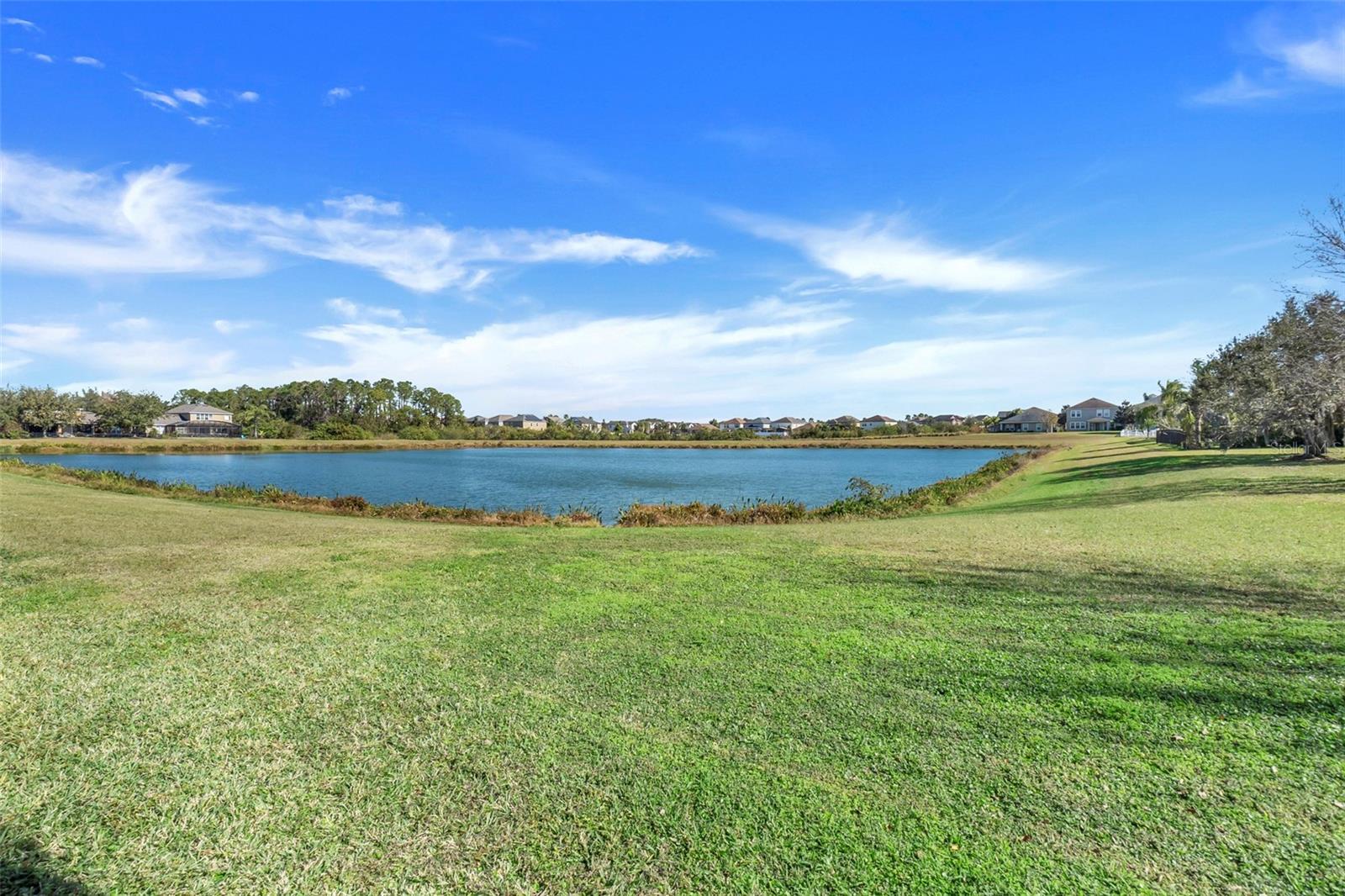 7343 DEREXA DR photo 3