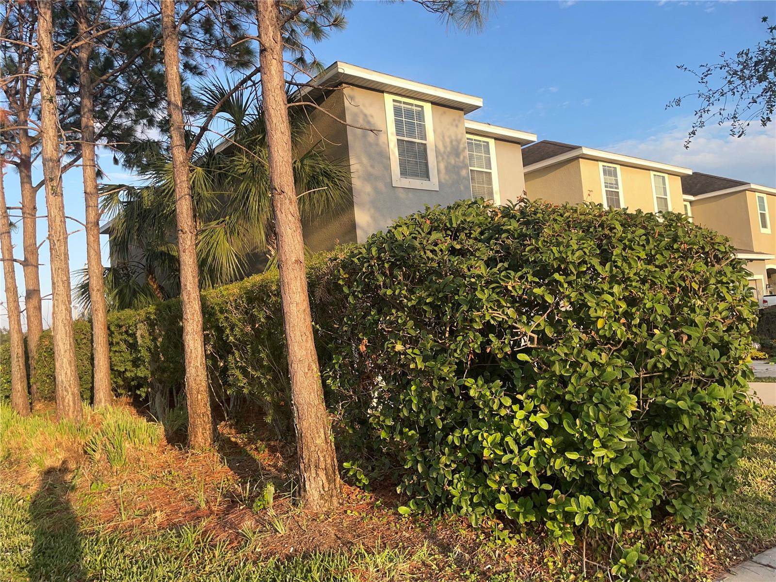 8406 PAINTED TURTLE WAY photo 4