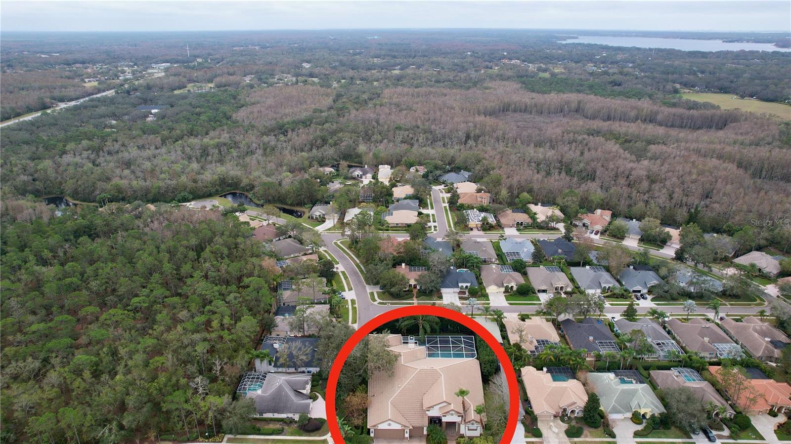 2898 GREY OAKS BLVD photo 3
