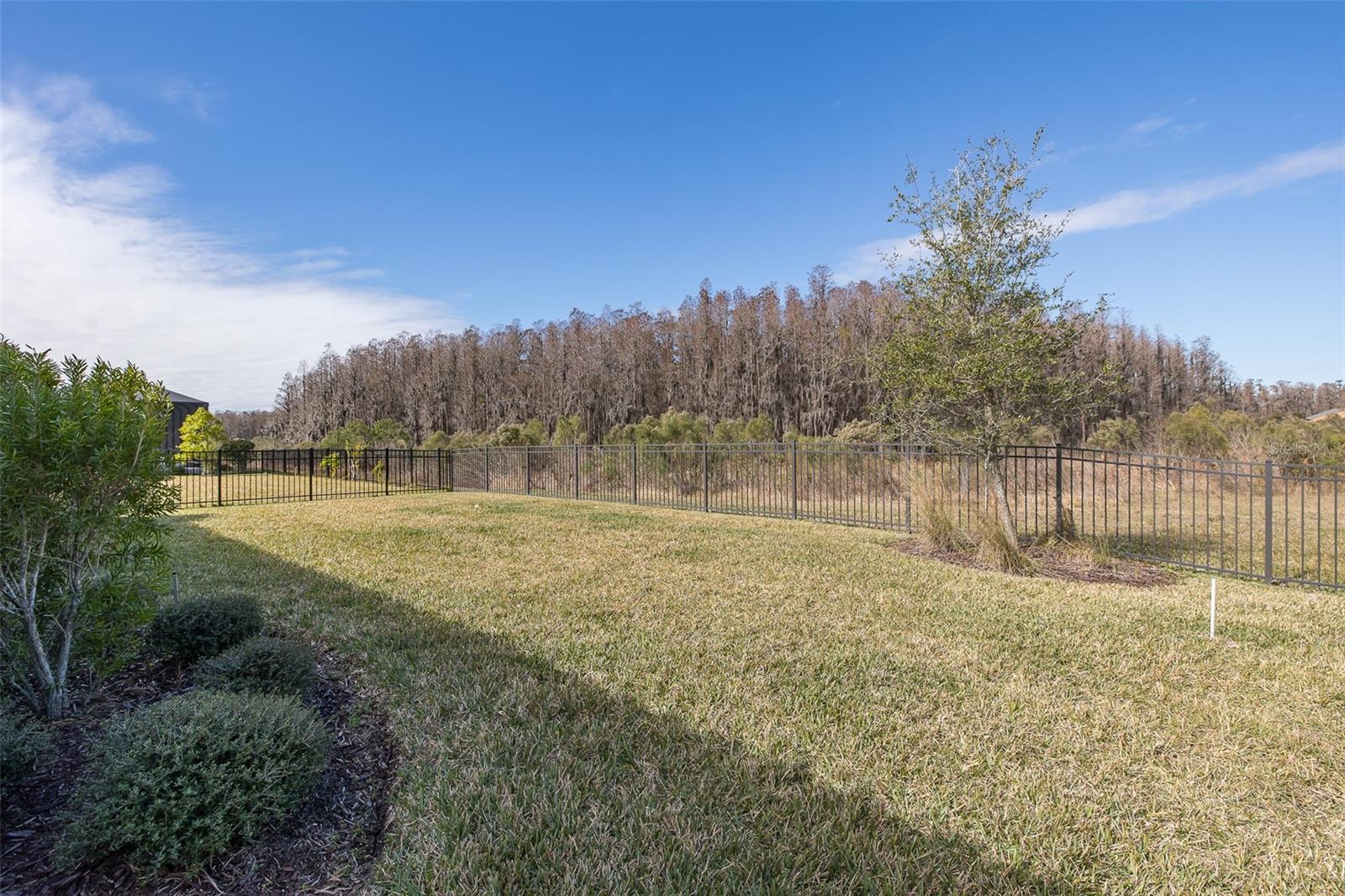 11061 EGERIA DR photo 4