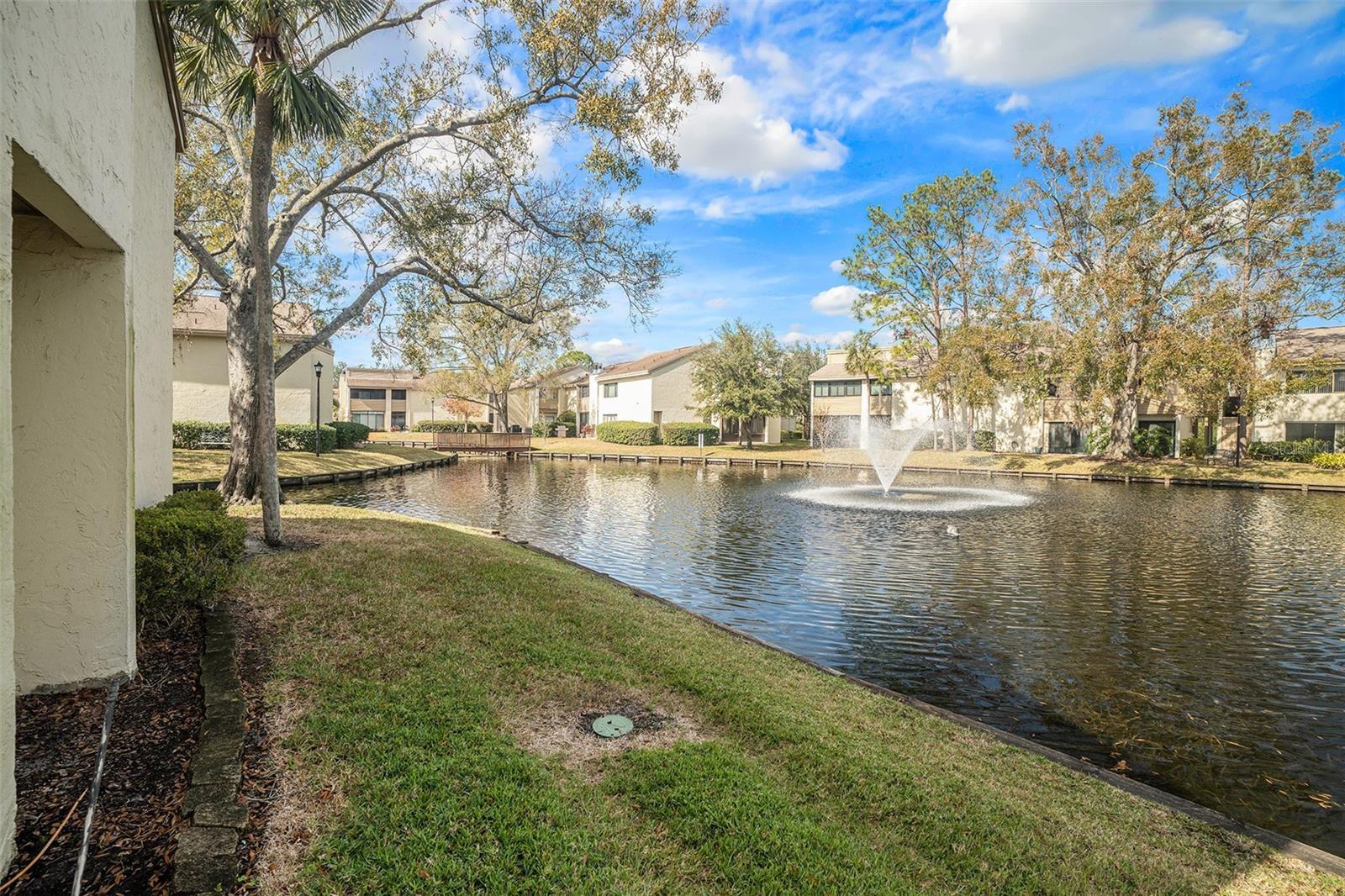 4154 PINELAKE LN #101 photo 3