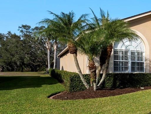 2102 GOLF MANOR BLVD photo 4