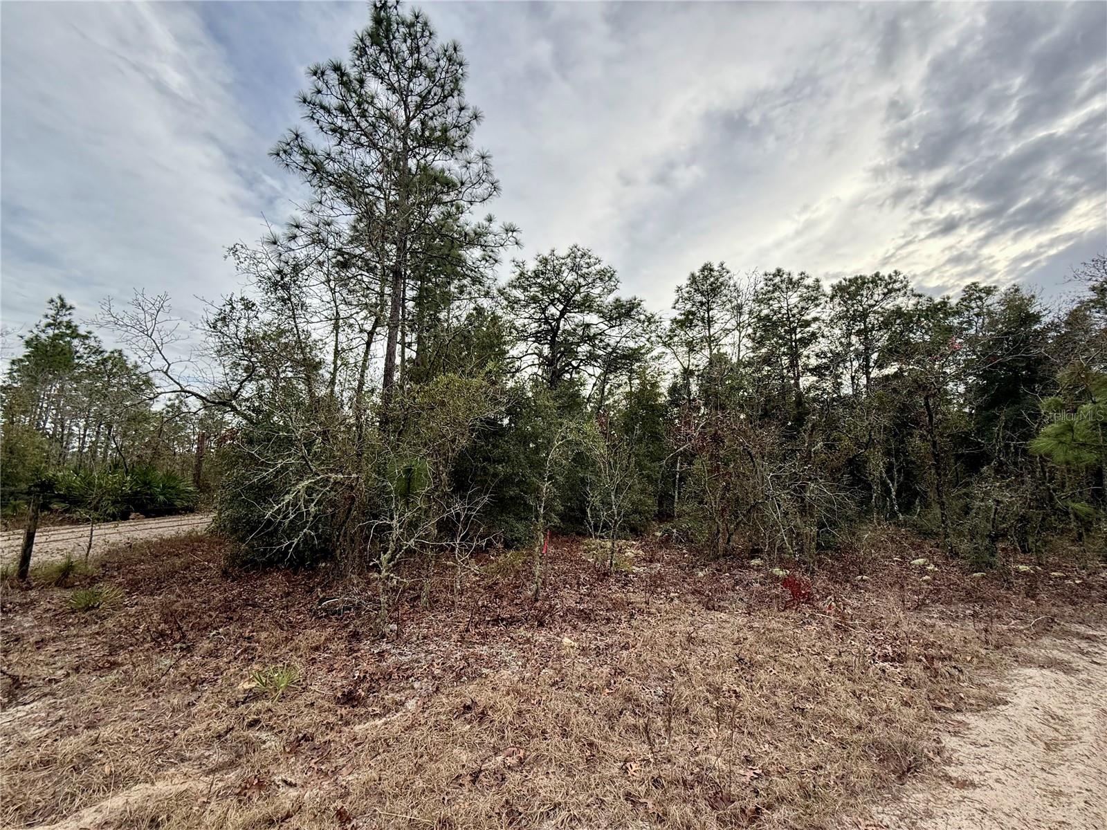 35300-085-00 SW 103 LN photo 3