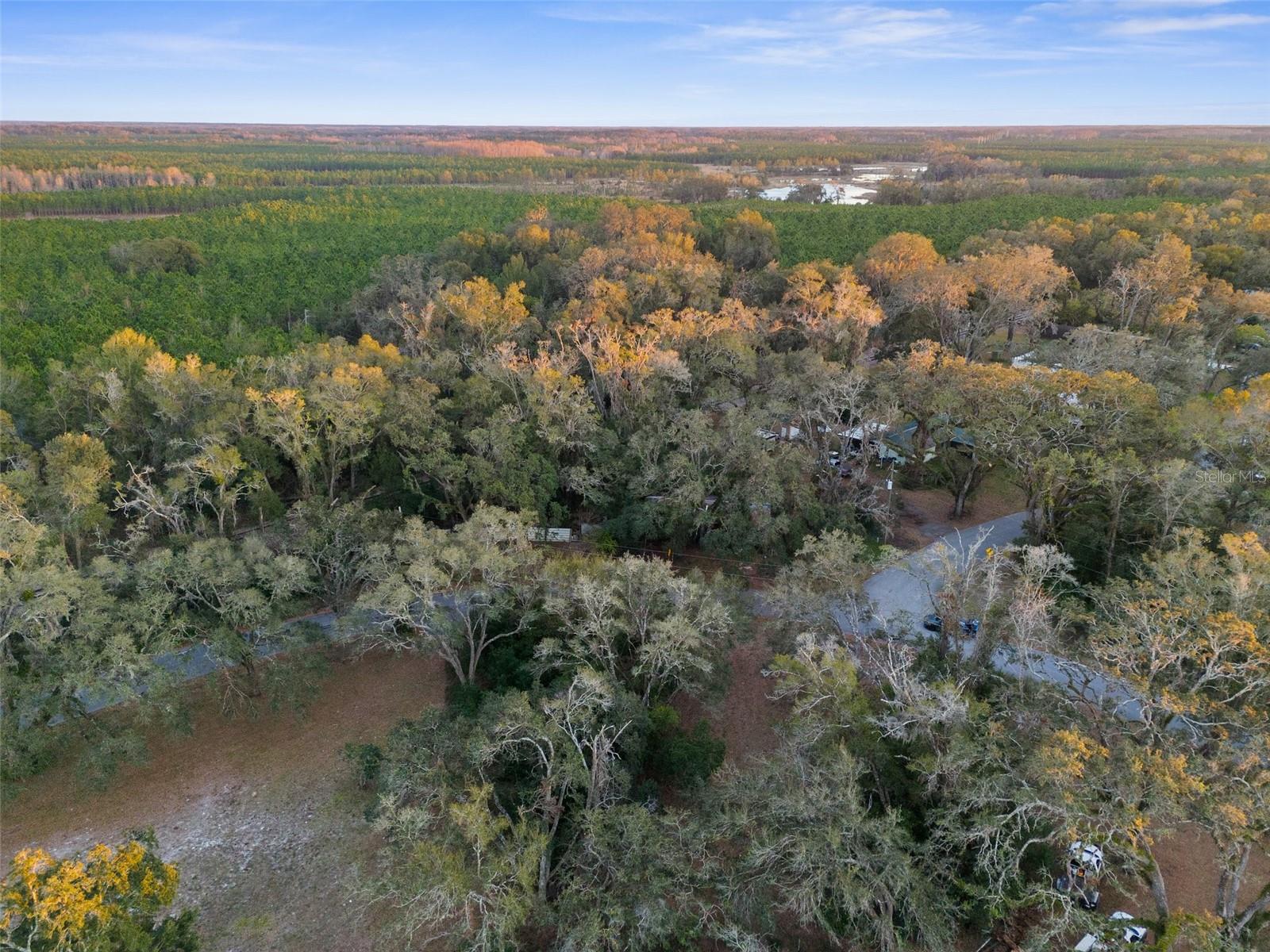 ALABAMA RD photo 3