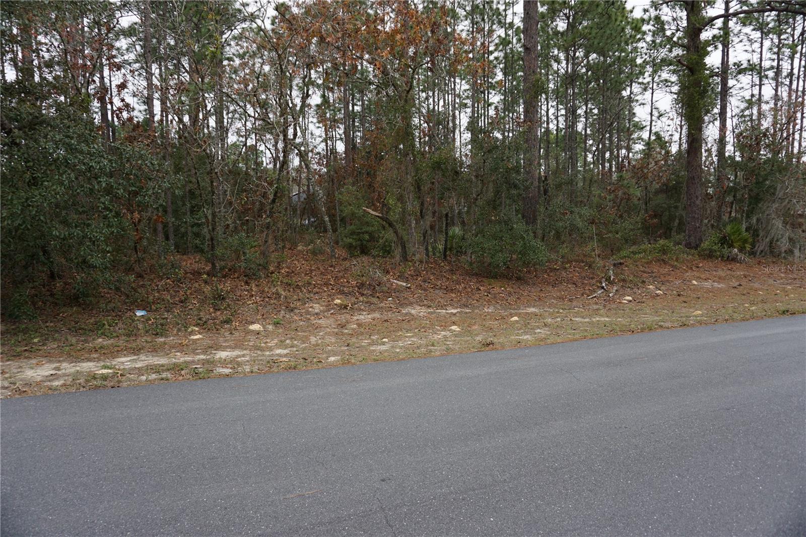 00 (TBD) SW 77 CT photo 3