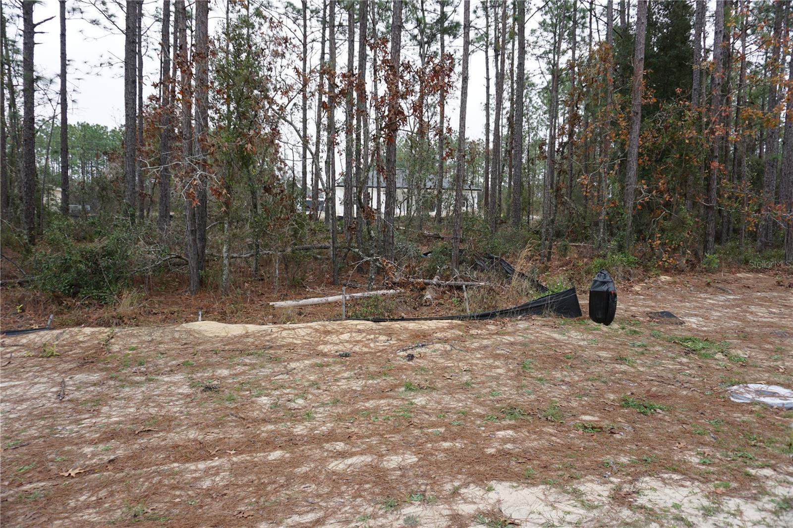 00 (TBD) SW 77 CT photo 4