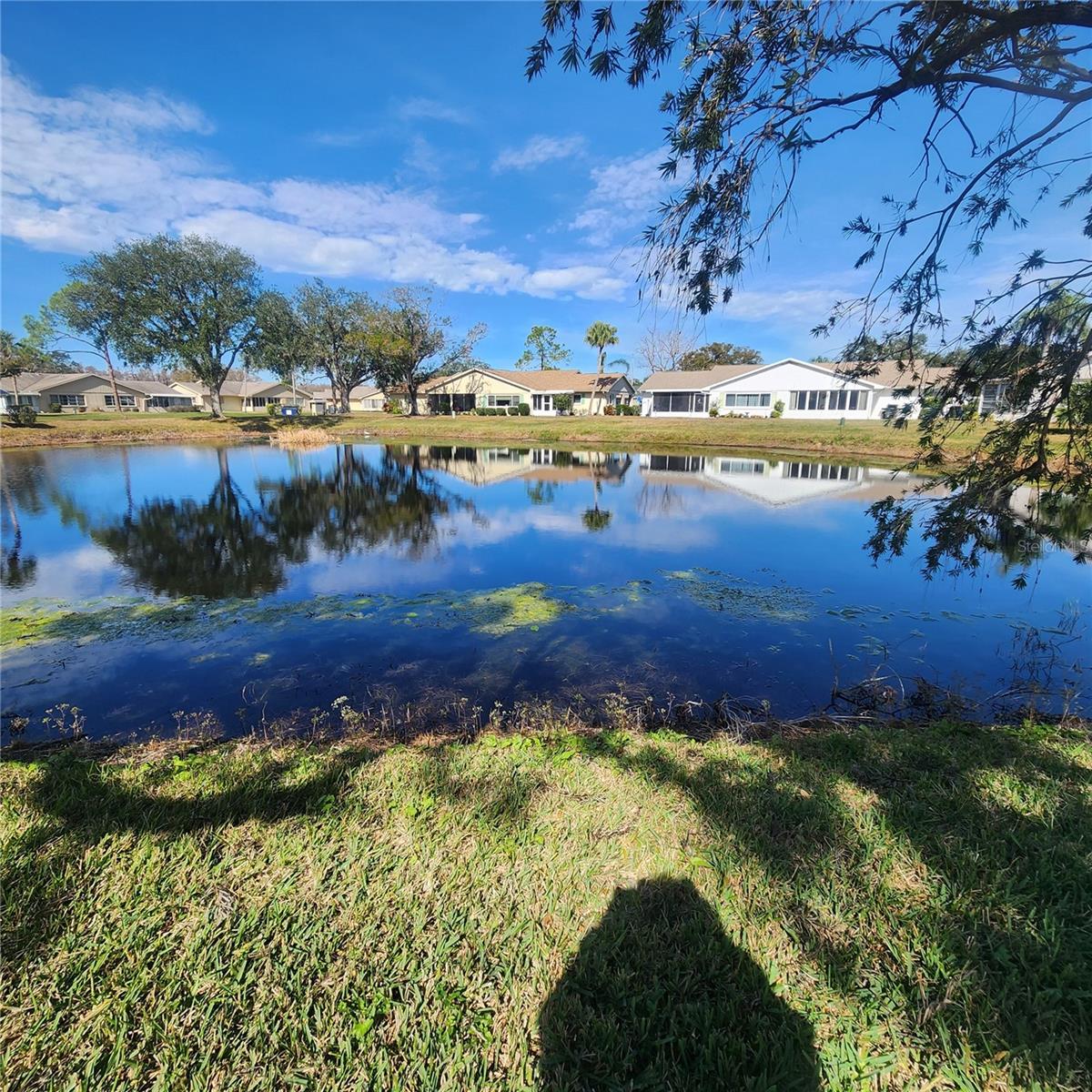 2241 GREENWICH DR #68 photo 2