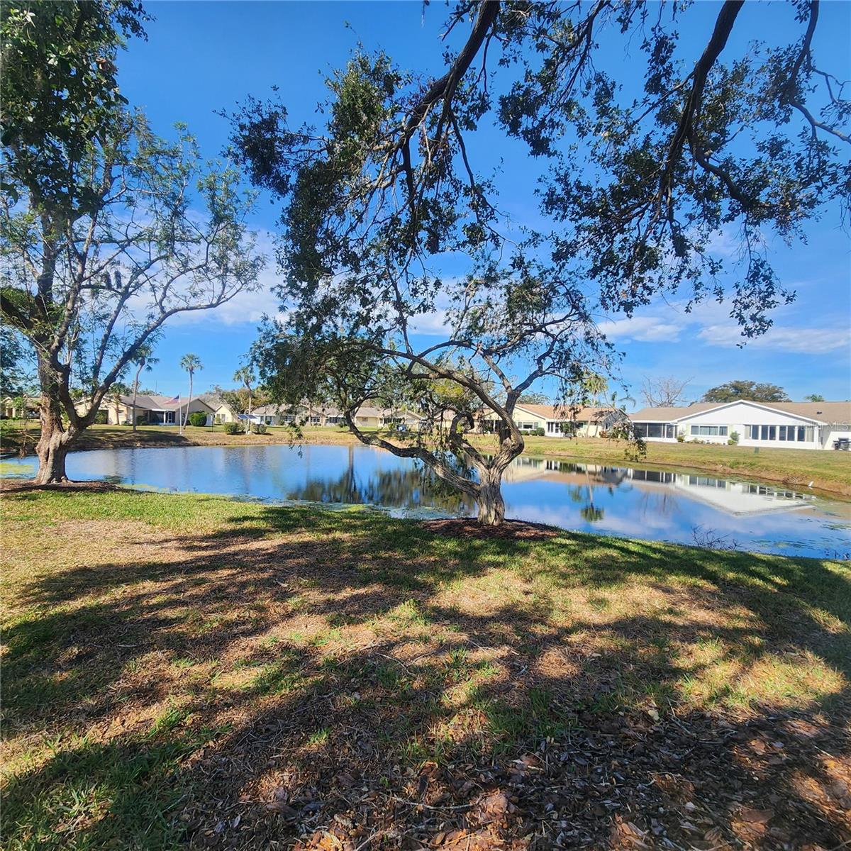 2241 GREENWICH DR #68 photo 3