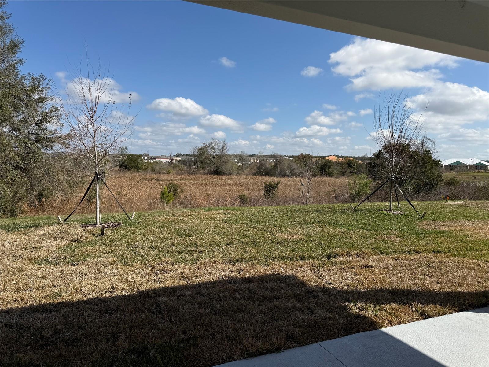 31819 CARDINAL YARD DR photo 2