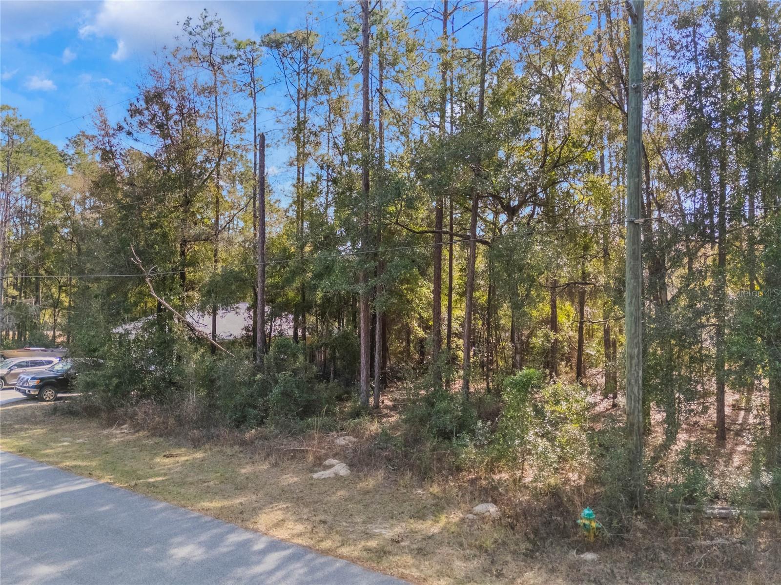 2190 W ARBUTUS DR photo 5