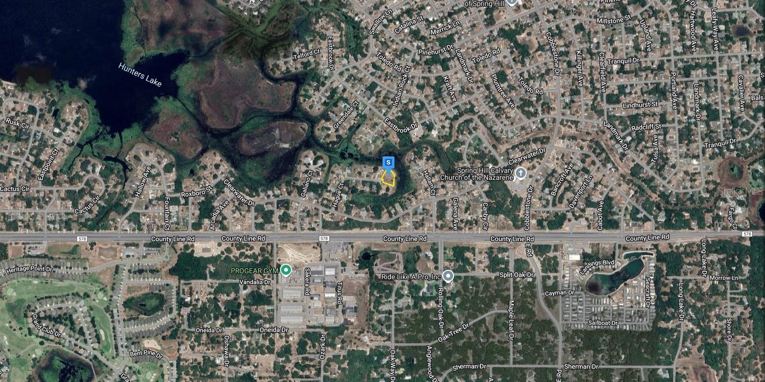 229 HAGUE CT photo 4