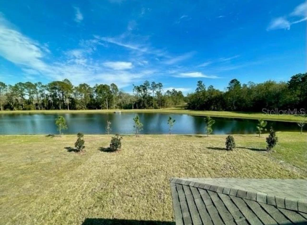 16364 WINDING PRESERVE CIR photo 2