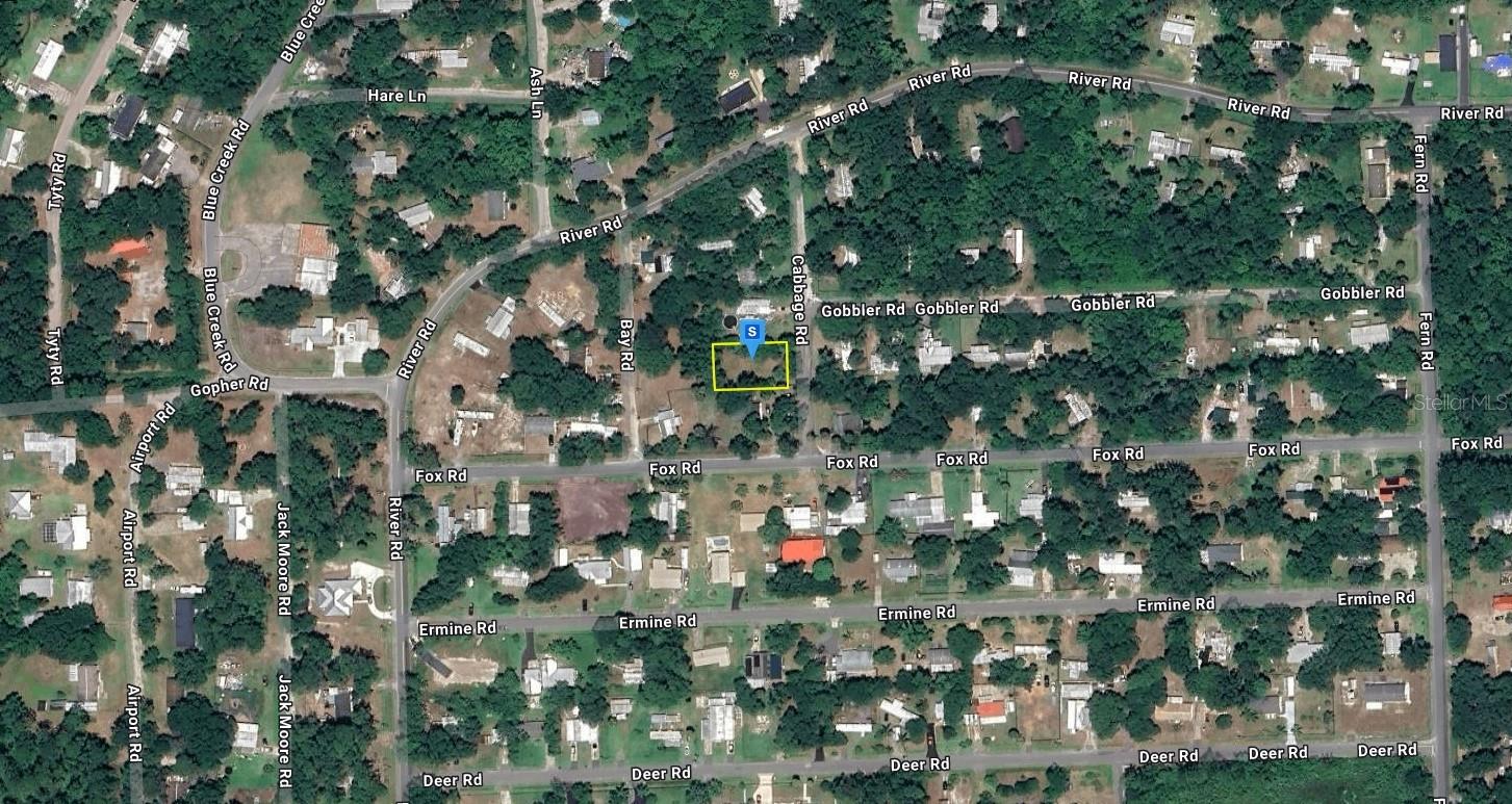 55917 CABBAGE RD photo 2