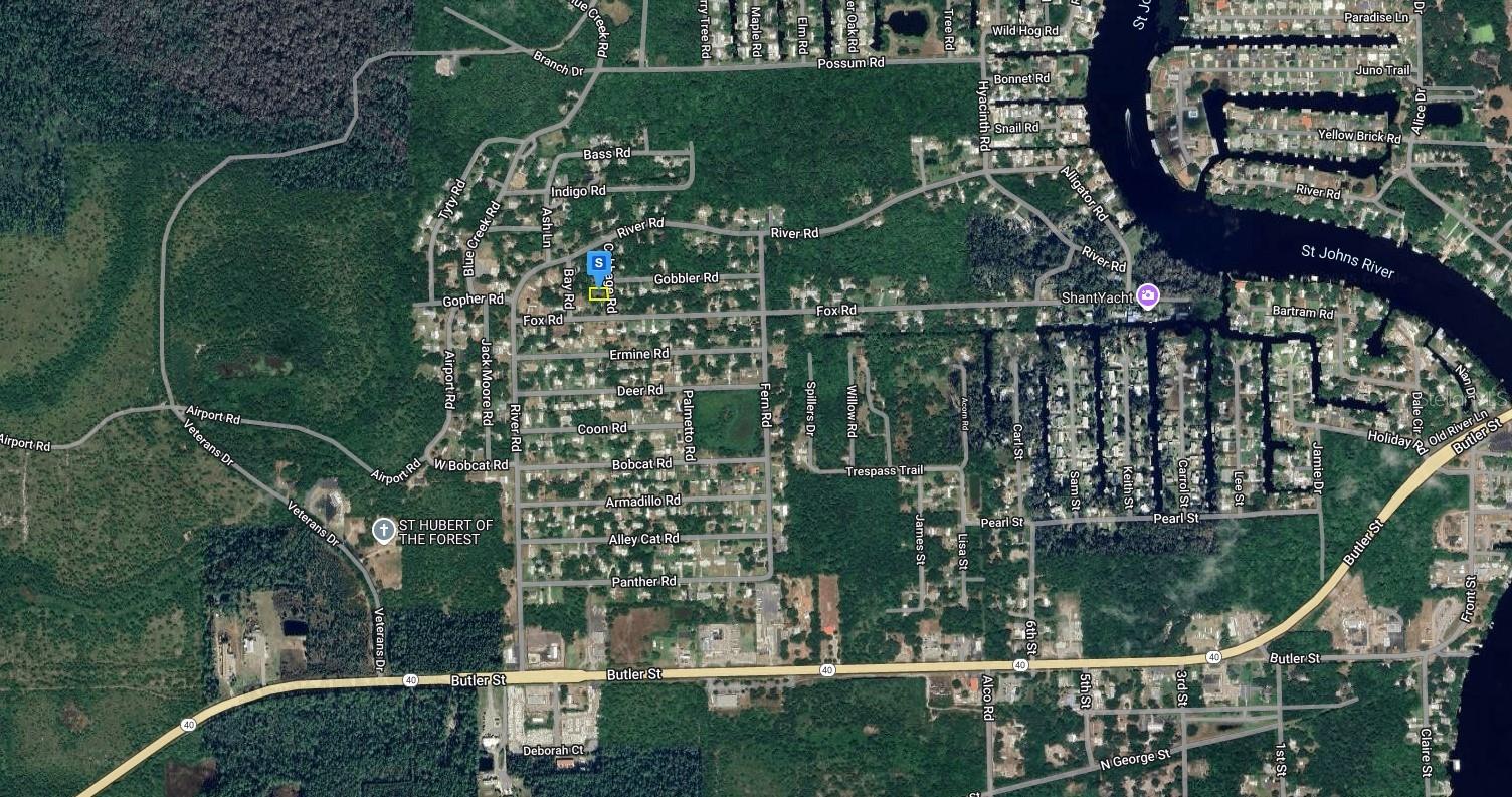 55917 CABBAGE RD photo 3