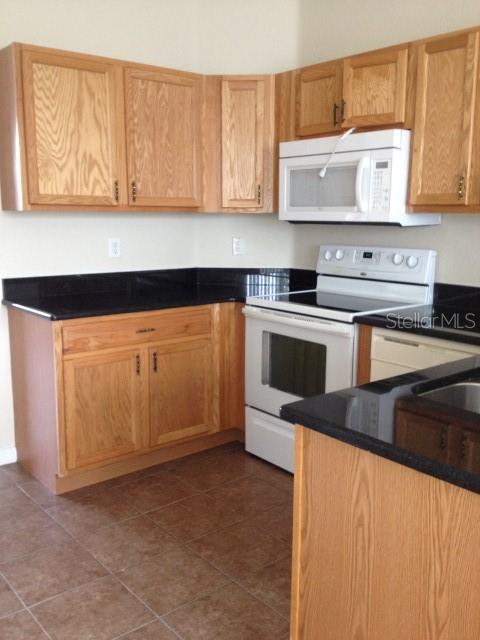 418 BAY LEAF DR photo 2
