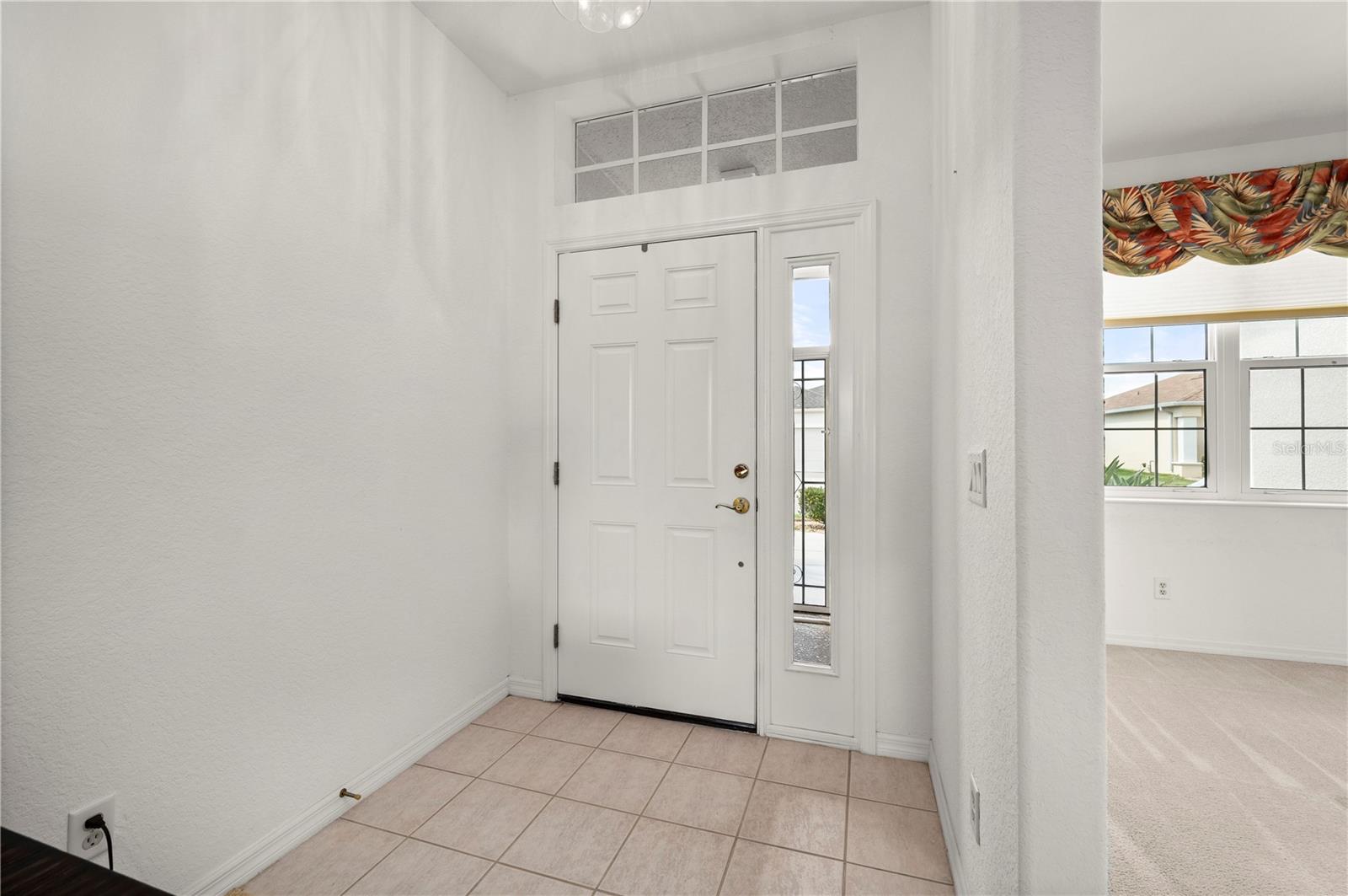24576 BUCKINGHAM WAY photo 5