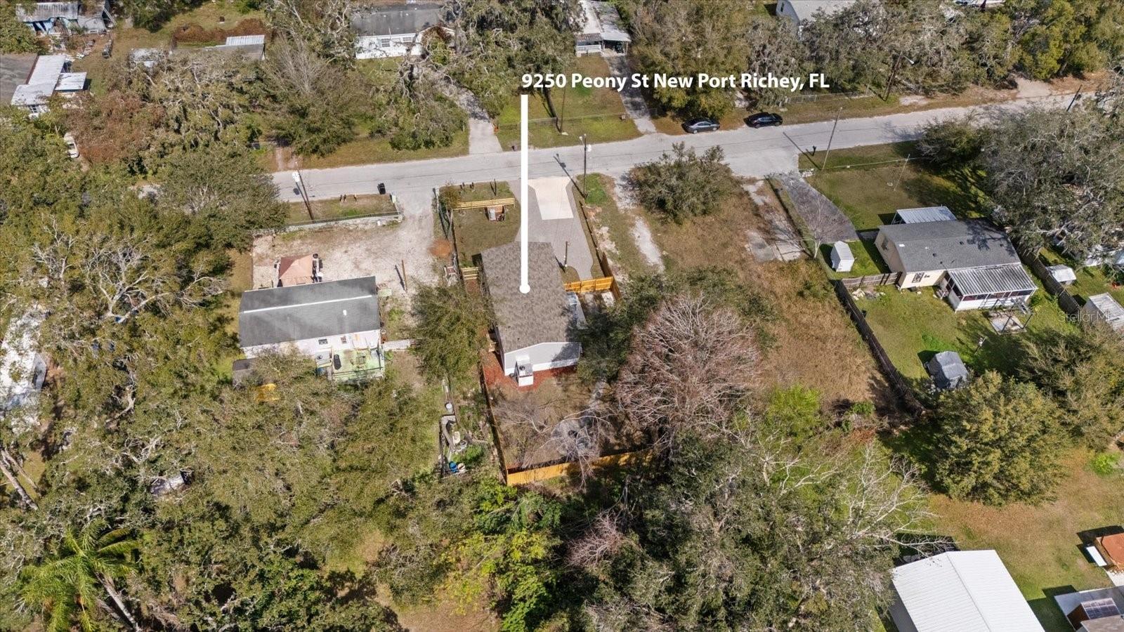 9250 PEONY ST photo 5