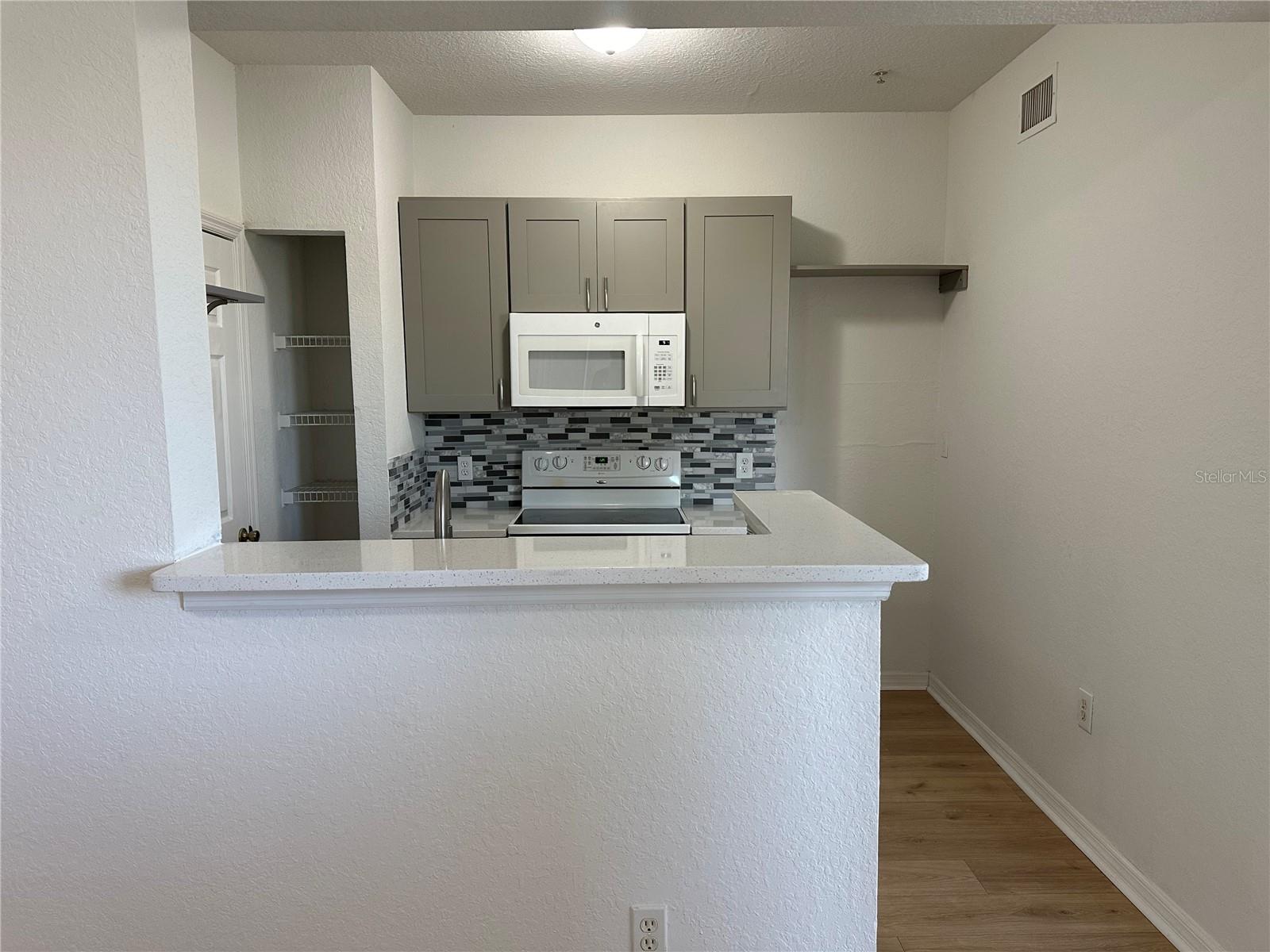 3701 CASTLE PINES LN #3923 photo 5