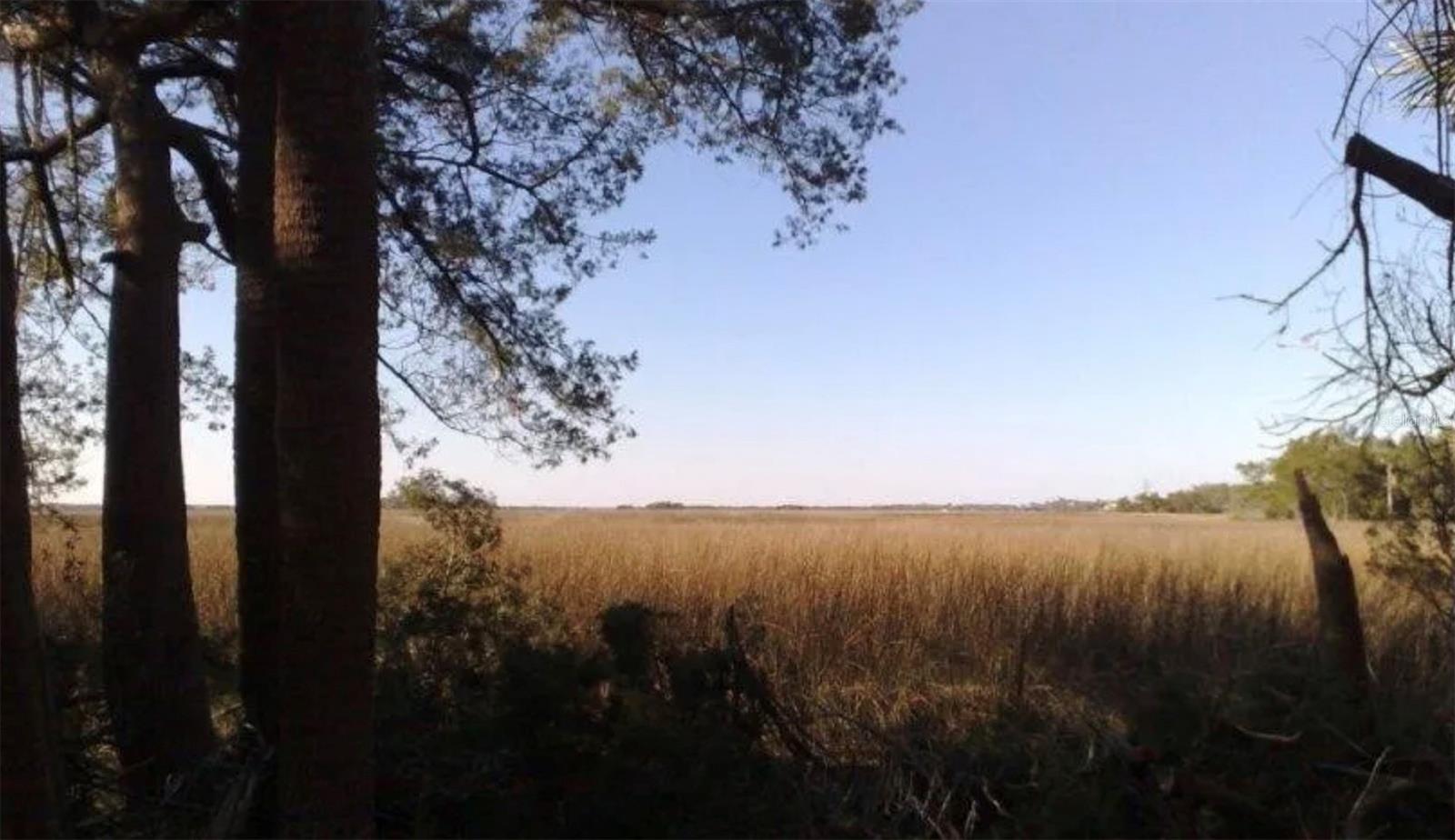 Land
