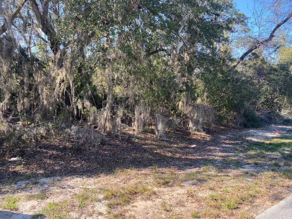 1329 ST AUGUSTINE CT photo 2