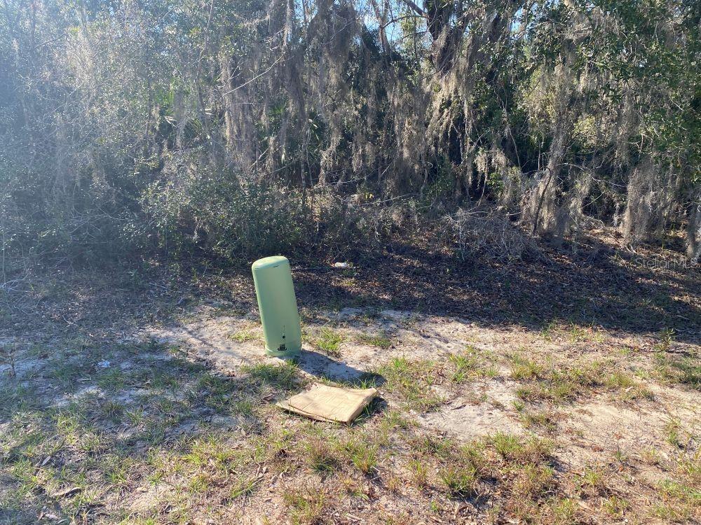 1329 ST AUGUSTINE CT photo 3