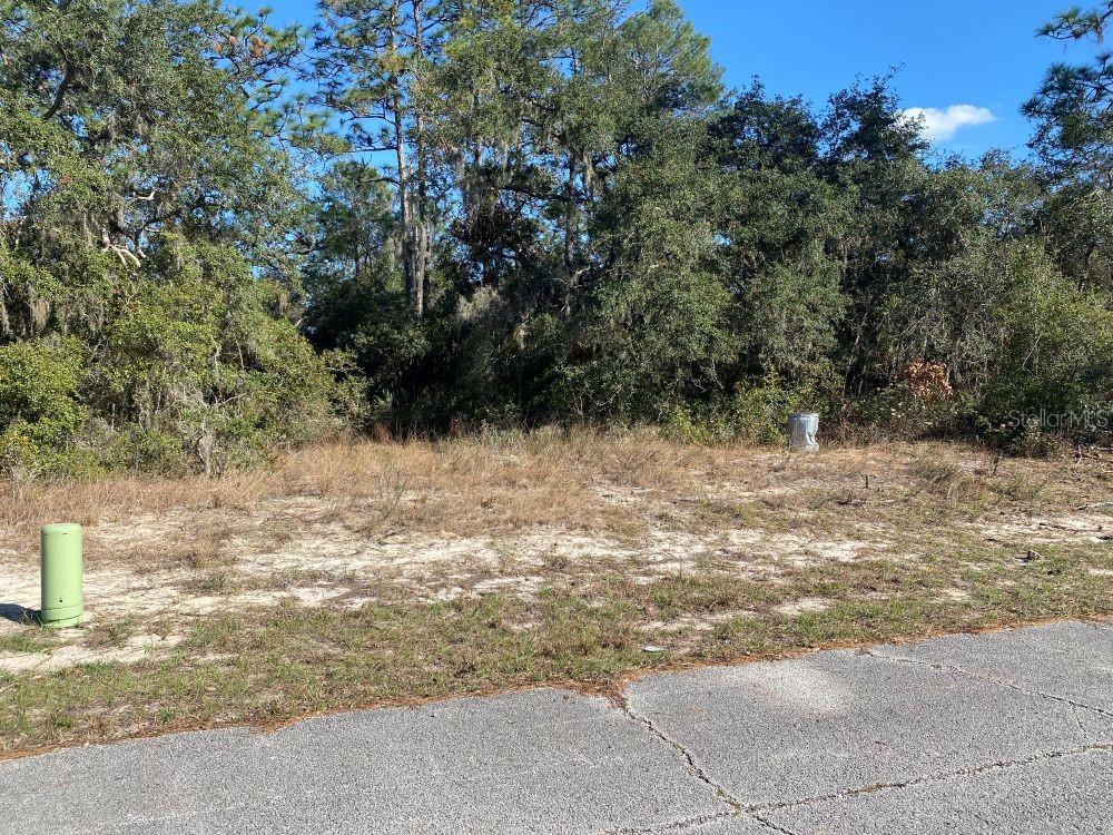 1329 ST AUGUSTINE CT photo 4