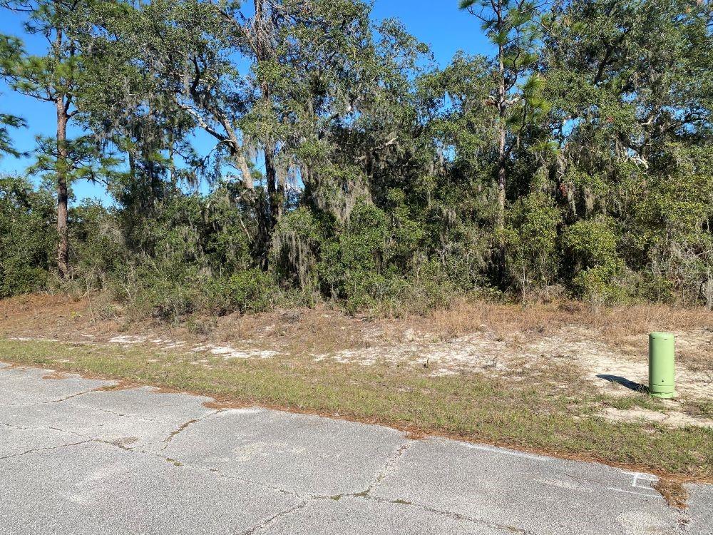 1329 ST AUGUSTINE CT photo 5