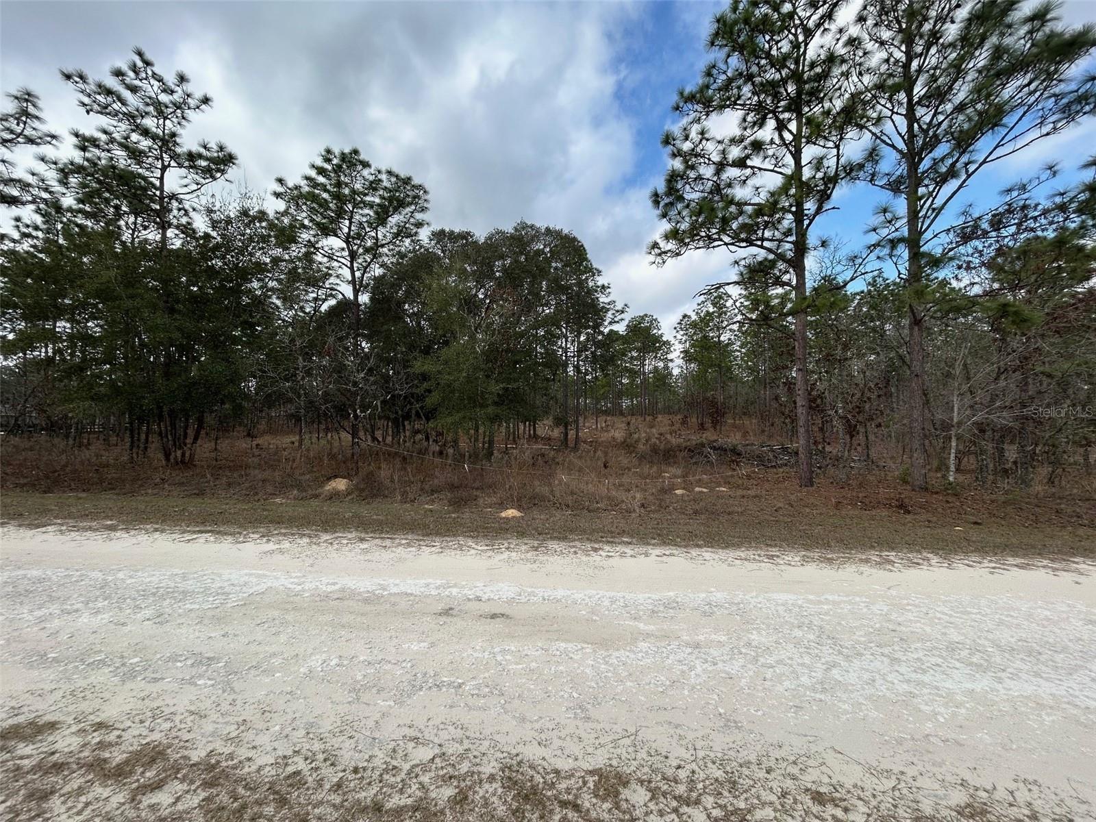TBD SW 125TH COURT RD photo 2