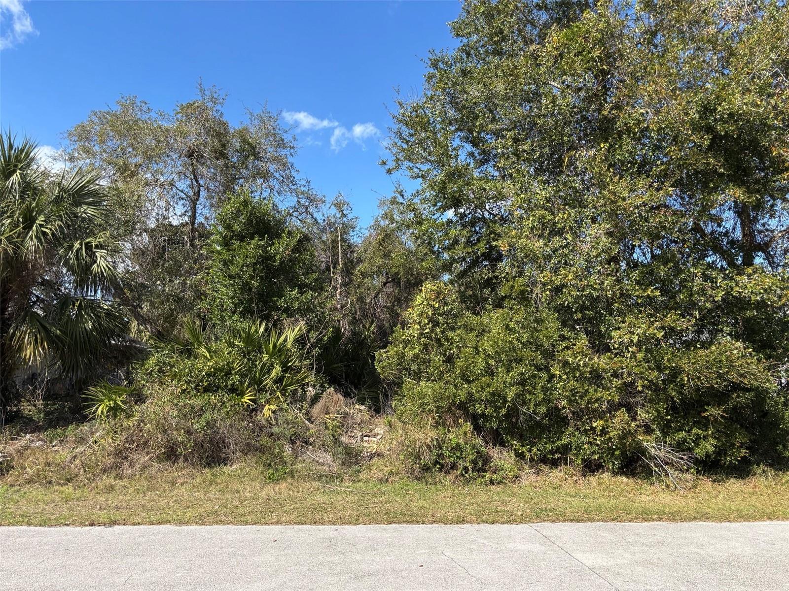120 FORRESTER PL photo 2