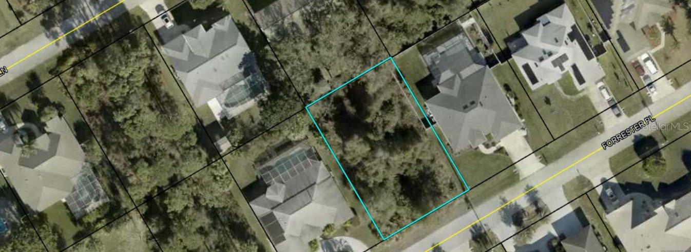 120 FORRESTER PL photo 4