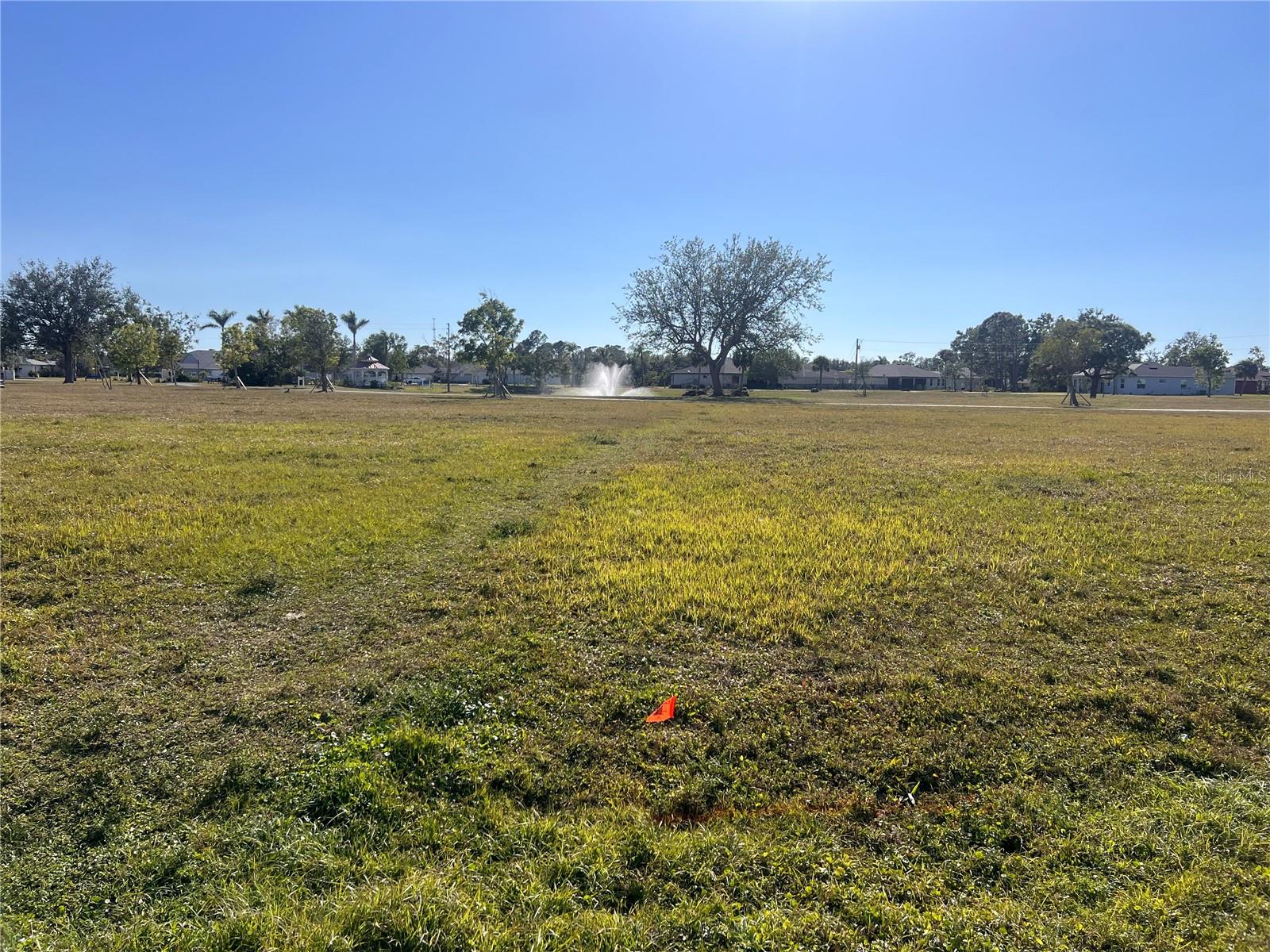 25325 LYCHEE CT photo 2