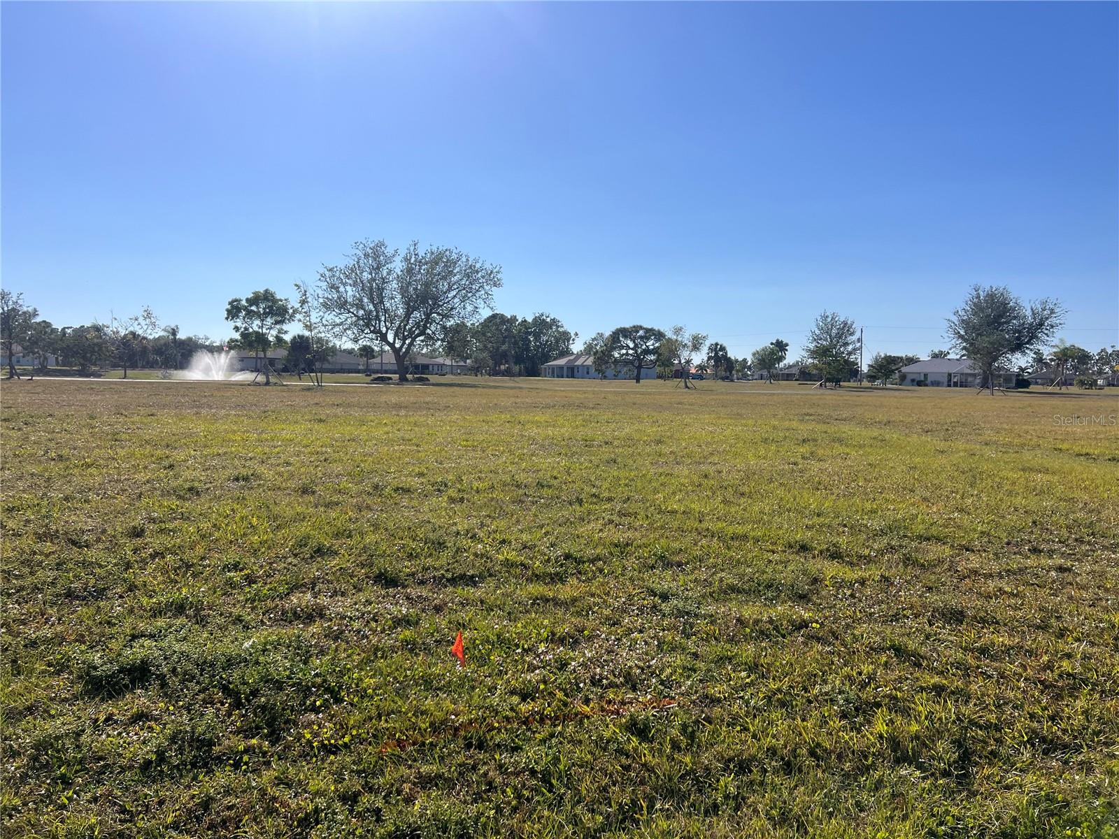 25325 LYCHEE CT photo 4