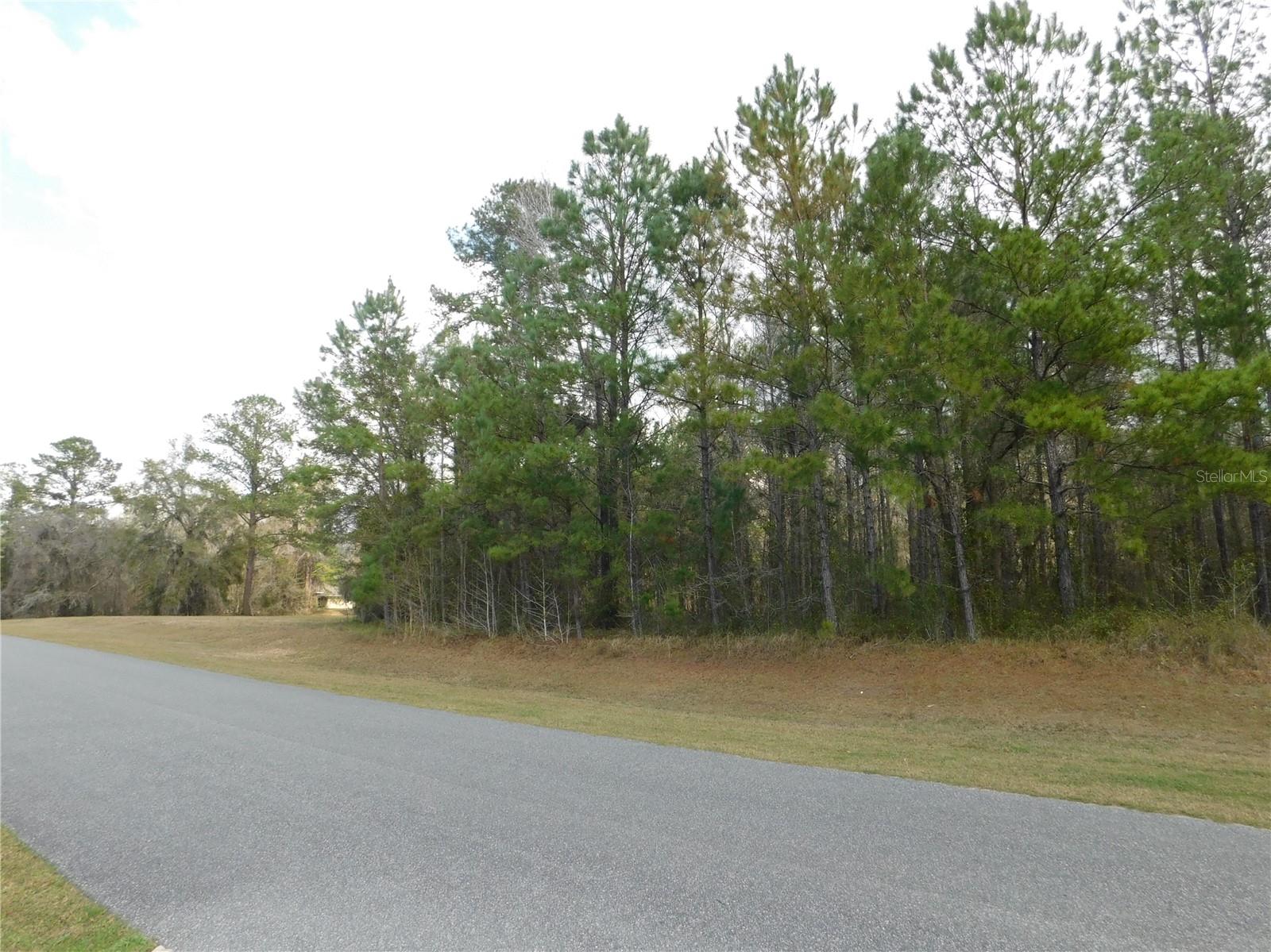 Lot 4 NW 145 AVE photo 5