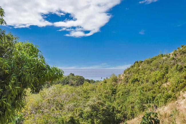 ENSENADA LA JOYA- TRES PALMAS TROPICAL ESTATES photo 2