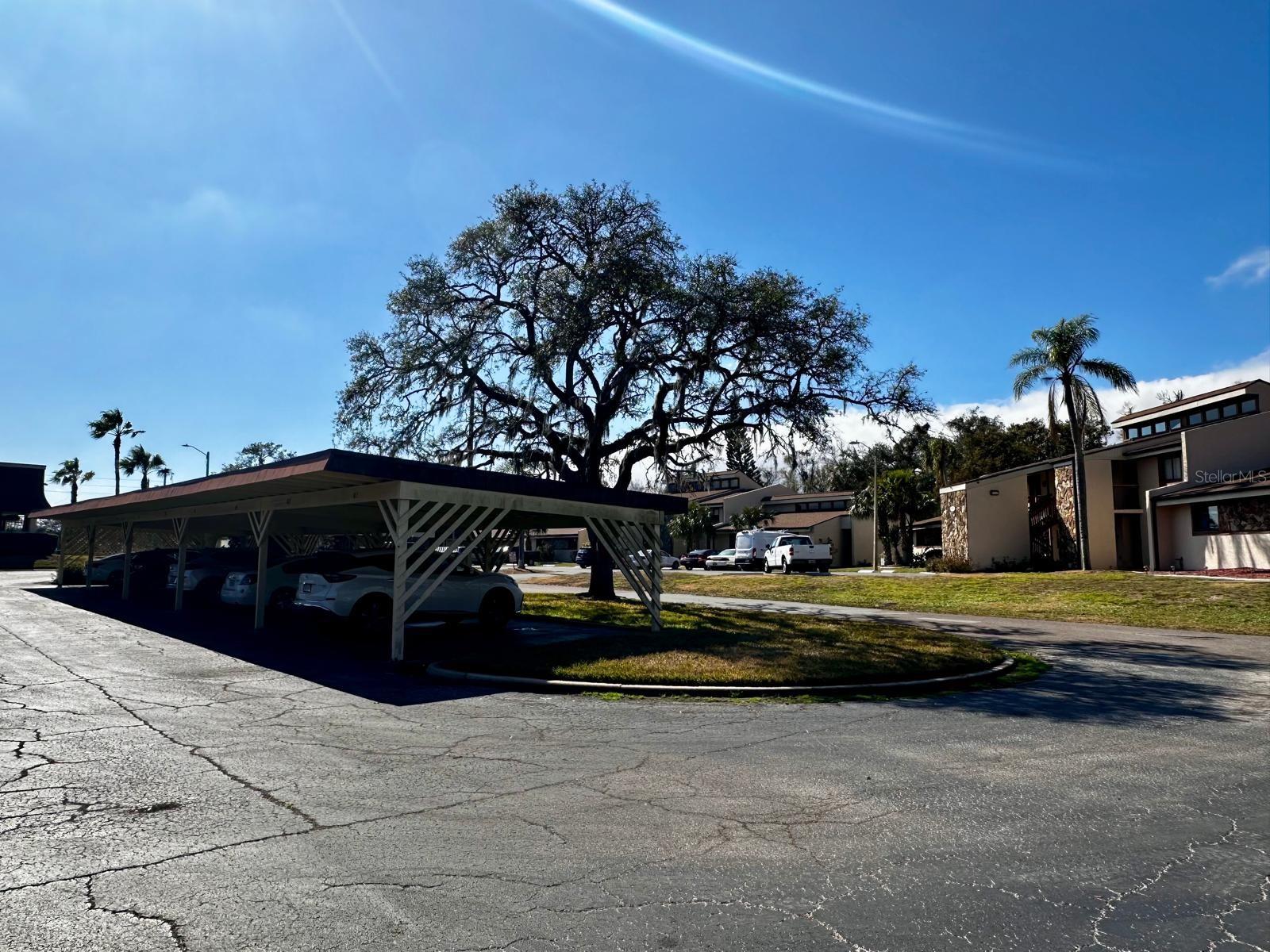 7040 COGNAC DR #1 photo 3