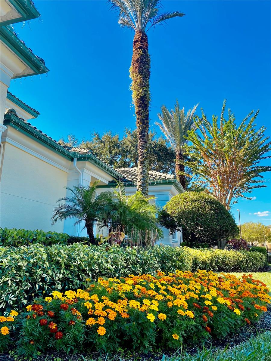 8813 DUNES CT #7 201 photo 5