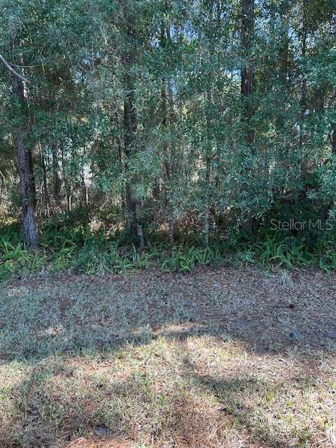 8045 SW 115TH LOOP photo 3
