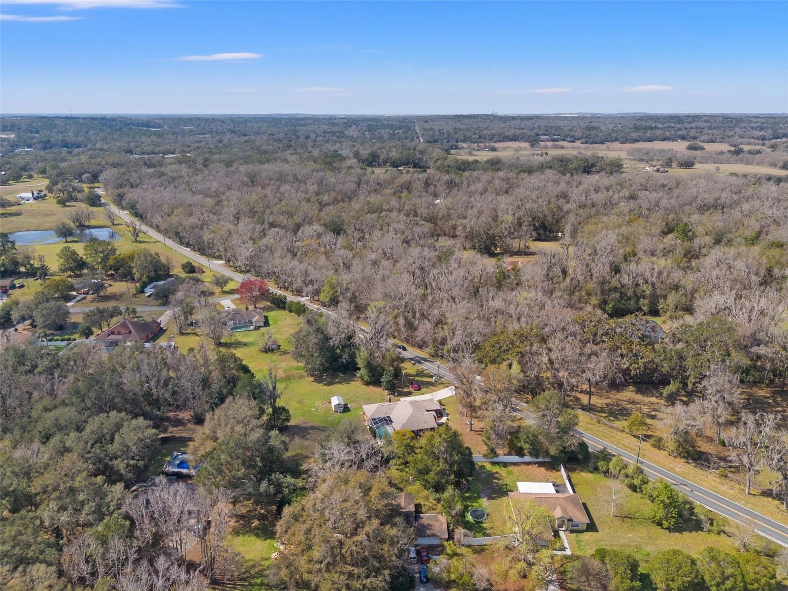 10171 PATRICK ST photo 3
