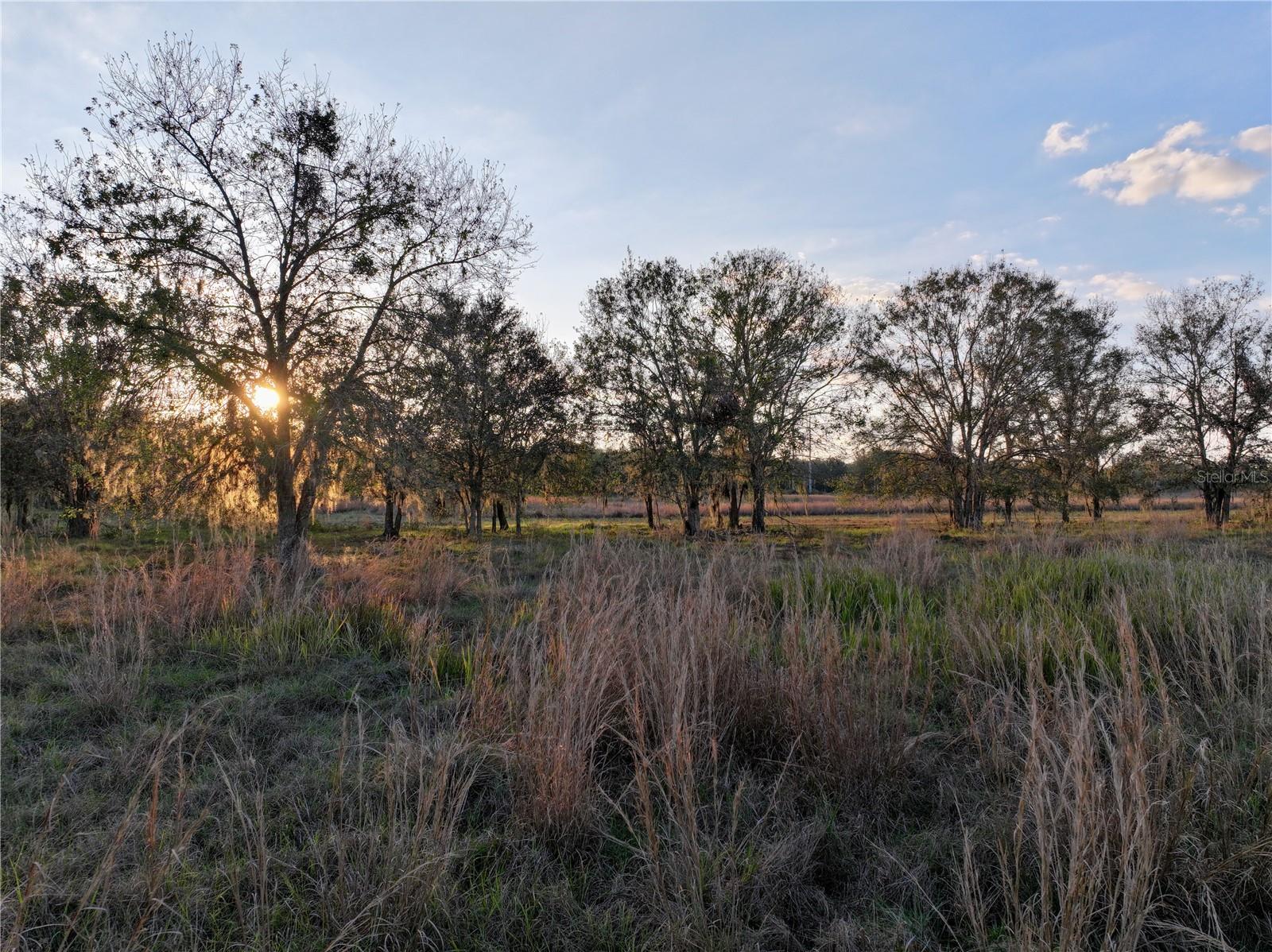 Land