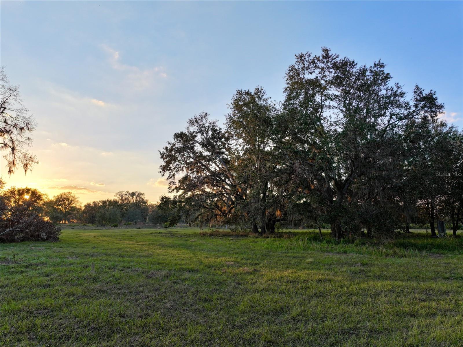 9125 COUNTY LINE RD E photo 3