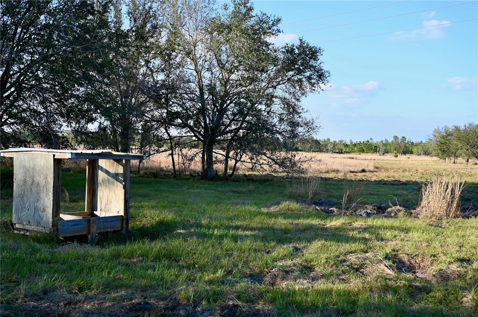 9125 COUNTY LINE RD E photo 4