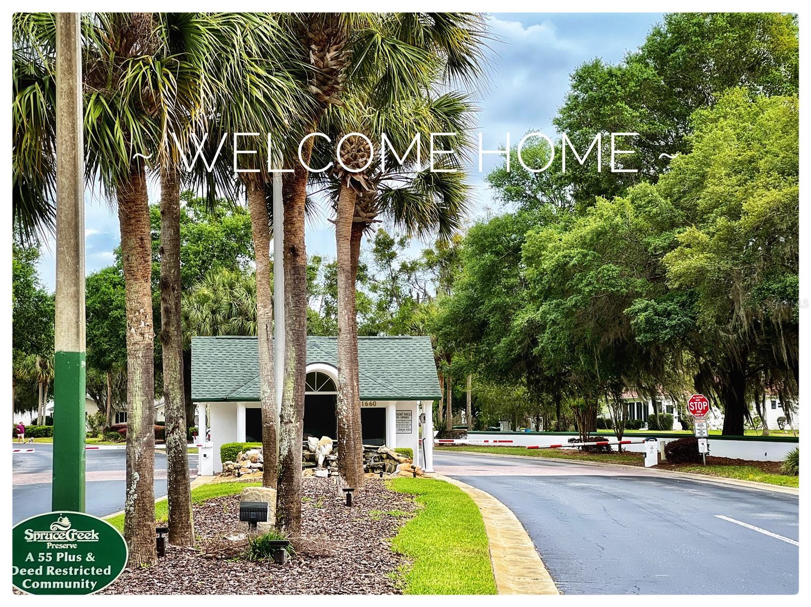 11353 SW 138TH LN photo 5