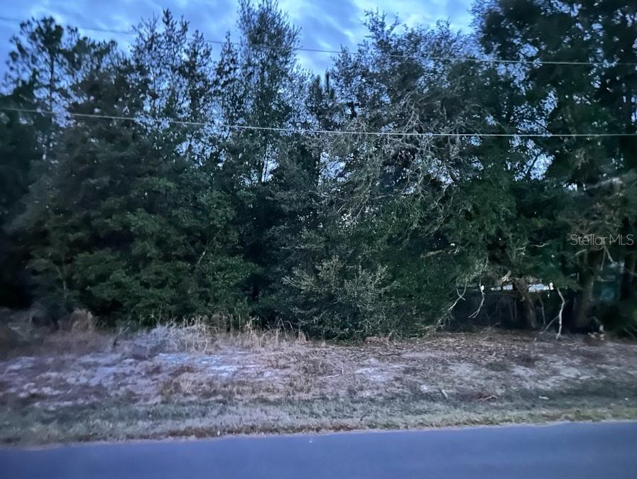 000 LOT 12 LOCUST COURSE RADL photo 3